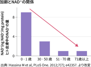 NAD+加齢による現象